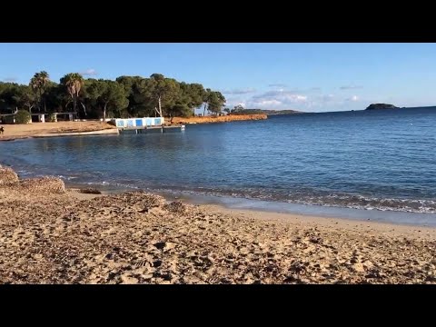 Videos del Tui Magic Life Cala Pada 4★ en Santa Eulària des Riu, EspañaVer MásVerPrecios14CerrarConsulta por Whatsapp 🇦🇷BookingTripadvisorExpediaTravelocityOrbitzTripSkyscannerDespegarKayakHotelesDestiniaTrivagoLastminuteTui