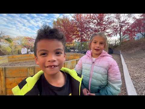 Reimagining Play at Falk—We Need Your Help!