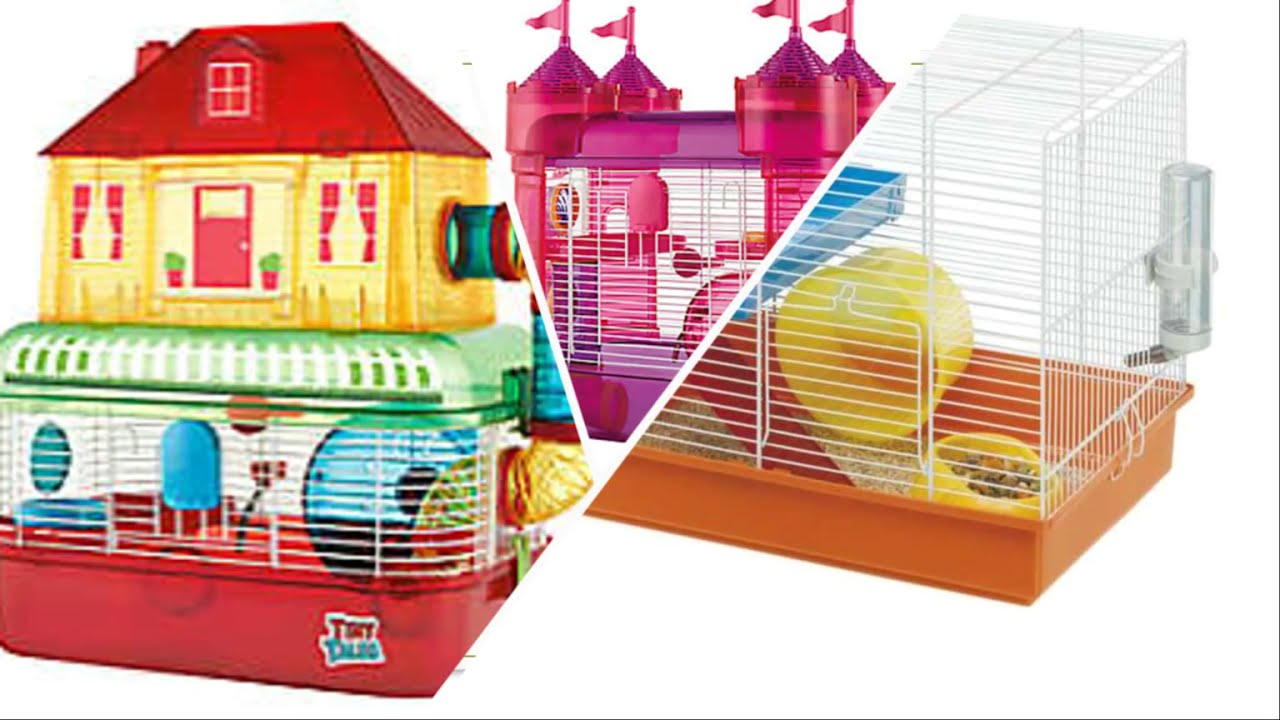 Good vs Bad Hamster cages || Hamster Help