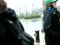 Jumping In Puddles
