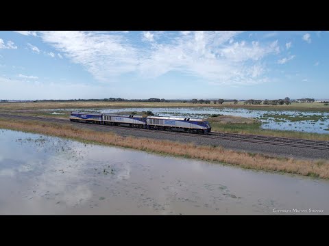 D442V SSR Light Engines EL55 + EL62 + EL56 (26/12/2022) - PoathTV Australian Trains & Railways