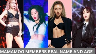 Get to  Know Mamamoo: Real Names and Ages Revealed!&quot;
