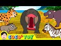 3 000 Leagues In Search Of A Baby HippopotamusㅣAnimals NameㅣCoCosToy