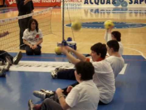 Aprilia Sitting Volley 8