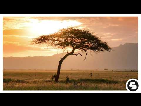 Djerem, Vanever & Sabo Limit - Quiera