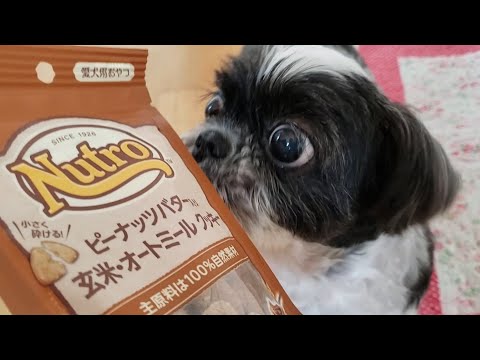 ニュートロ 玄米オートミールクッキー