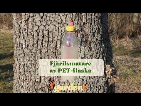Fjärilsmatare av PET-flaska - Trädgårdshacks med GardenR