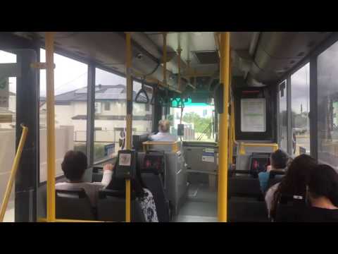 Transperth TP1181 - Mercedes-Benz O405NH (Voith)