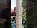 Oddly Satisfying Cutting Tree