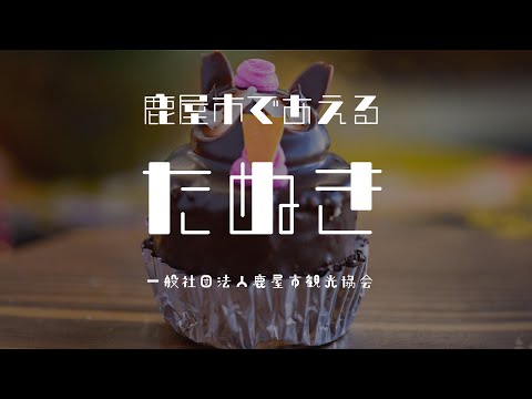 【誠花堂】鹿屋市であえるたぬき🐾🍰