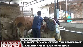 Cegah Penyakit, Dinas Pertanian Nganjuk Beri Layanan Kesehatan Kepada Pemilik Hewan Ternak