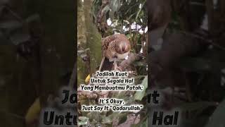 Download lagu Jadilah Kuat Untuk Segala Hal Yang Membuatmu Patah. It'S Okay, Just Say It 'Qadarullah'💌 mp3 Download lagu Jadilah Kuat Untuk Segala Hal Yang Membuatmu Patah. It'S Okay, Just Say It 'Qadarullah'💌 mp3