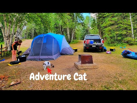 Camping with A Cat (4 Days &amp; 3 Nights in a Tent)