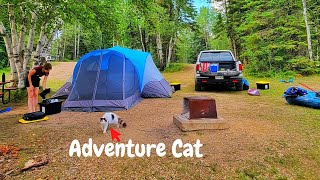Camping with A Cat (4 Days &amp; 3 Nights in a Tent)