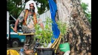 Mystery tree that 'bears fruit in the shape of WOMEN' found growing in Thailand