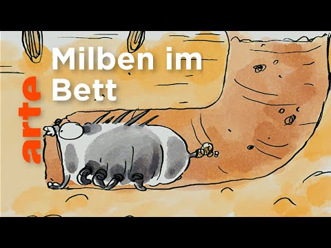 Nicht ohne meine Milben! | Wer nicht fragt, stirbt dumm! | ARTE