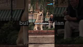 Download lagu The most loyal dog, Hachiko 🥺 mp3
