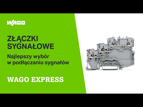 WAGOexpress - Złączki sygnałowe – najlepszy wybór w podłączaniu sygnałów! - zdjęcie