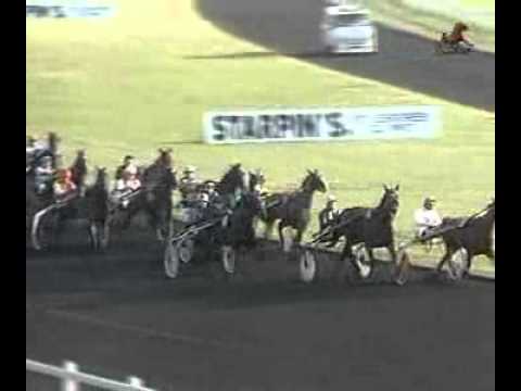 Prix d'Amerique 1992 -Verdict Gede