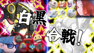 【実況】レックウザ率いる黒い色違いと白い色違い達でシロクロつけようぜ！！