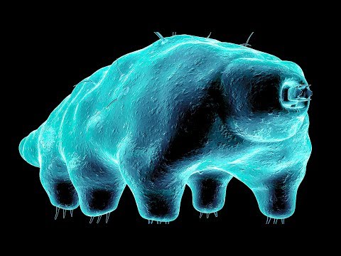 Mal di bassa della schiena e basso addome e mensile prima di venire Trattamento articolazioni rimedi popolari di iodio