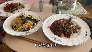【シェルティ】みんな一緒【フランス田舎暮らし🇫🇷】#犬の散歩 #賢い犬 #犬のいる暮らし #シェルティ