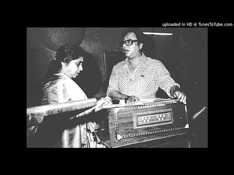 Sanam Tum Jahan Mera Dil Waha