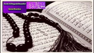 Surah Al-Baqarah (Fast Recitation) Quick   Recitation – Mishary Rashid Alafasy (سورة البقرة) Ep201