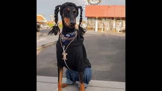 Snoop Doggy Dogg feat Tha dogg pound - Who Got Some Gangsta Shit?