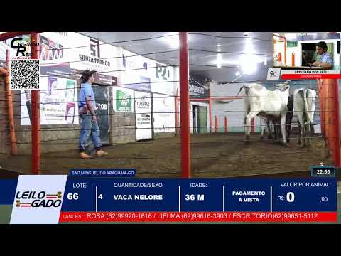 LEILÃO DA LEILOGADO  EM SÃO MIGUEL DO ARAGUAIA - GO 11/12/2025 | LEILÃO AO VIVO.