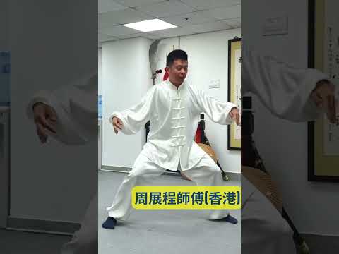 太極拳彈抖勁基礎示範與教學