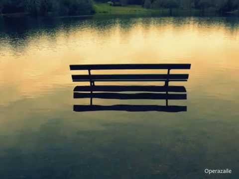 Nina Stemme: Wesendonck-Lieder by Wagner