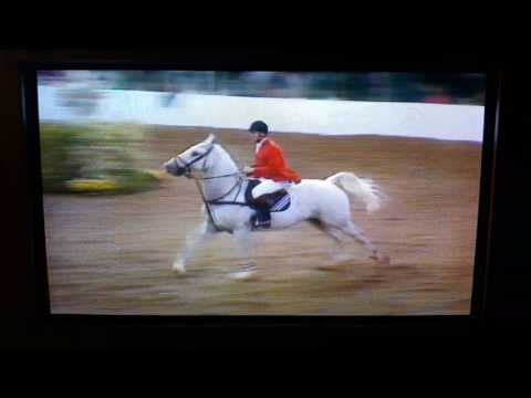 Robert Smith Brookstreet Silverdust