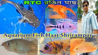 Rtc রঙিন মাছ শ্রীরামপুরের শখের হাটে | Aquarium Fish Haat Shrirampur | Sunday Pet Market
