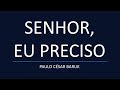 SENHOR EU PRECISO Paulo César Baruk Letra