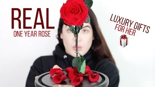 REAL ONE YEAR ROSE from My Lasting Boutique | Valentine&#39;s Day Gift Idea | Solange Nicole
