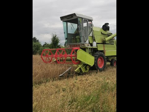 Claas Mercator Vintage Combine Harvest 2021