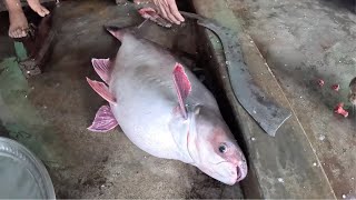 6KG Big Size Pangas Fish Cutting in Bangladeshi Fish Market by Expert