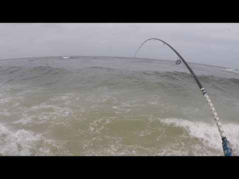 Can You Catch Keeper Flounders Off the Beach?