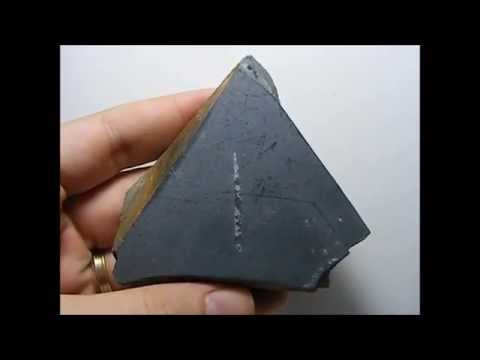 Fosil 18 - Graptolites Monograptus - Constantina - Sevilla - For Sale