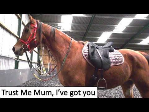 Riding Farouk for the First time after 4 months off in The Indoor School as the weather is horrid.