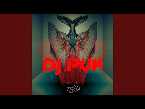 Tailfish (Robert Solheim Remix)