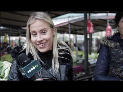 Ceger ep.42 - Pijaca na Banjici - 09.10.2019.