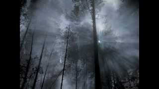 Biosphere - Mestigoth