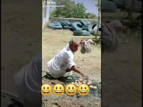 Rajasthani stets dal bai pad gyi mhngi #shorts #newdjgangster😋😘😯😋😂😂