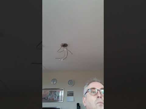 opwekking 838proef en zie