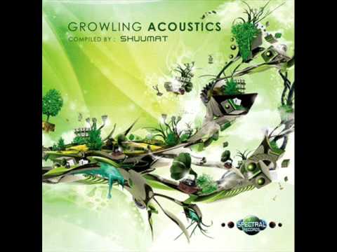 Audialize Vs  Brain Hunters – Brainalizer