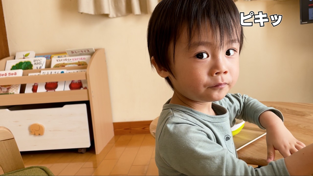 引っ越して１か月、ソファー争い記念日