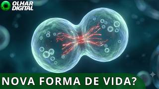 Miniatura do vídeo
