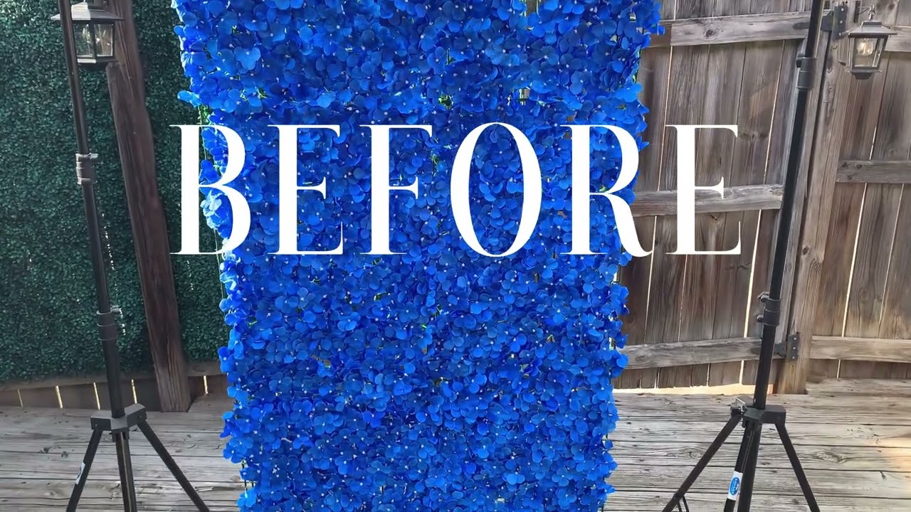 Promotional video thumbnail 5 for Flower Walls by Leslie Arnelle